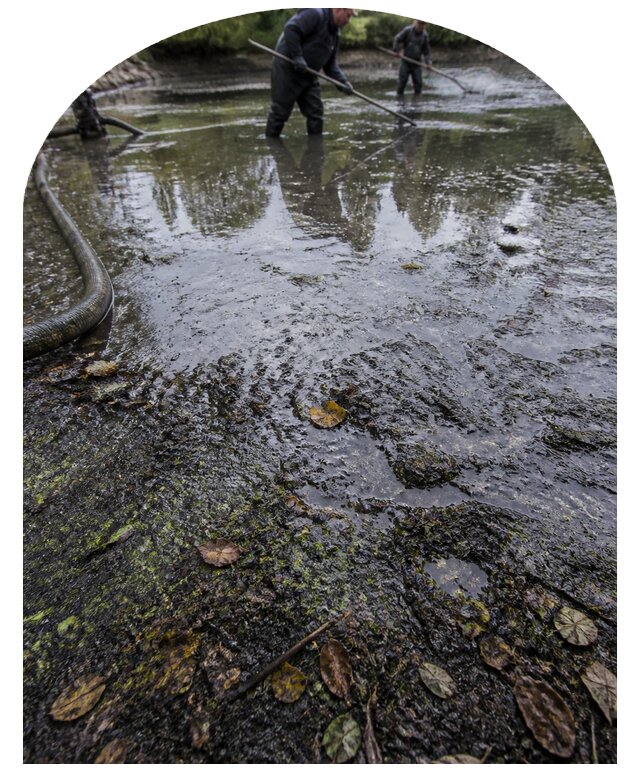 Очистка пруда в Владикавказе от ила мусора и водорослей с вывозом